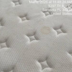 carpet/matress deep clean