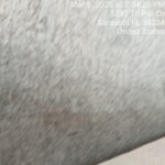 carpet/matress deep clean