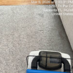 carpet/matress deep clean