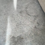 carpet/matress deep clean