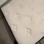 carpet/matress deep clean